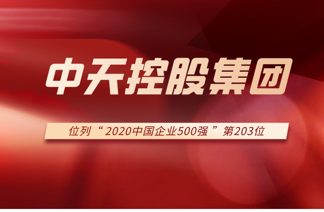304am永利集团列2020中国企业500强第203位！